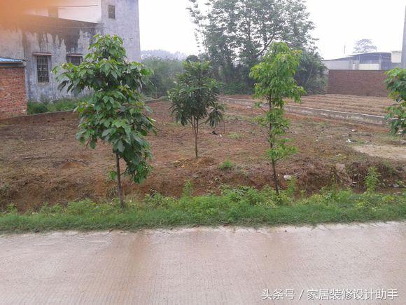 三角形地皮能自建房吗？怕被人笑话、风水不和，瓜婆娘快把我逼疯